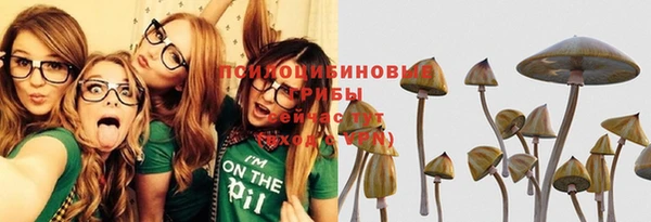 ALPHA-PVP Алексеевка